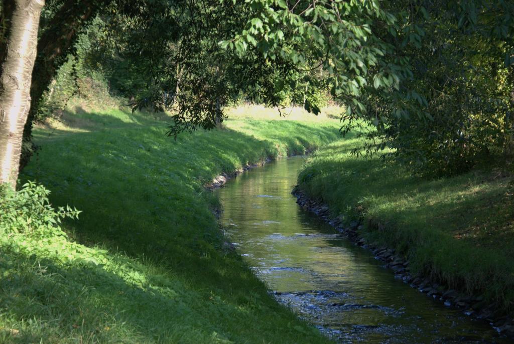Land-Hotel Zum Schwan, Garni Weilerswist-Metternich, 3 E-Ladestationen, Naehe Phantasialand, Palmenparadies Euskirchen Екстер'єр фото