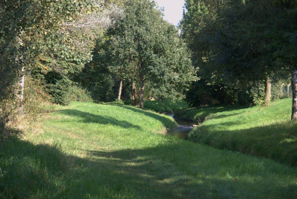 Land-Hotel Zum Schwan, Garni Weilerswist-Metternich, 3 E-Ladestationen, Naehe Phantasialand, Palmenparadies Euskirchen Екстер'єр фото